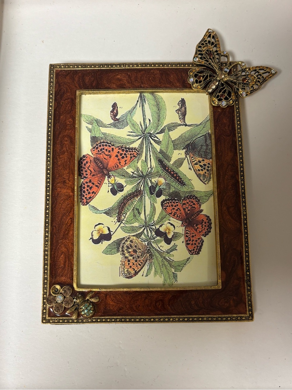 Vintage Ornate Brown and Gold Butterfly Picture Frame -